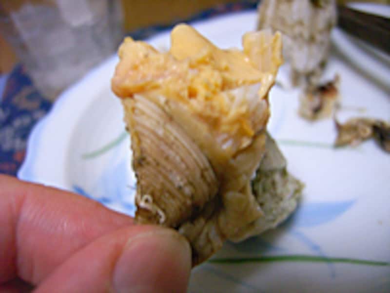 2 2 陸奥湾の夏の美味 ふじつぼ みんなの投稿レシピ All About