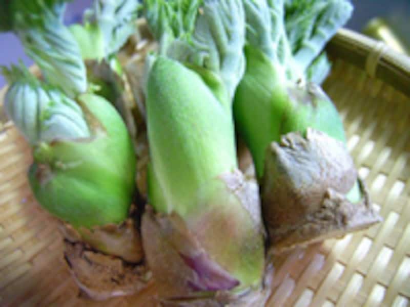 ローストビーフ