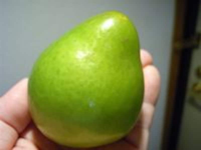 ケルシーすもも