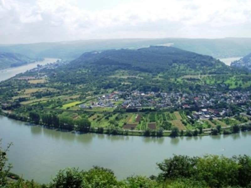 雄大な自然の宝庫ライン川