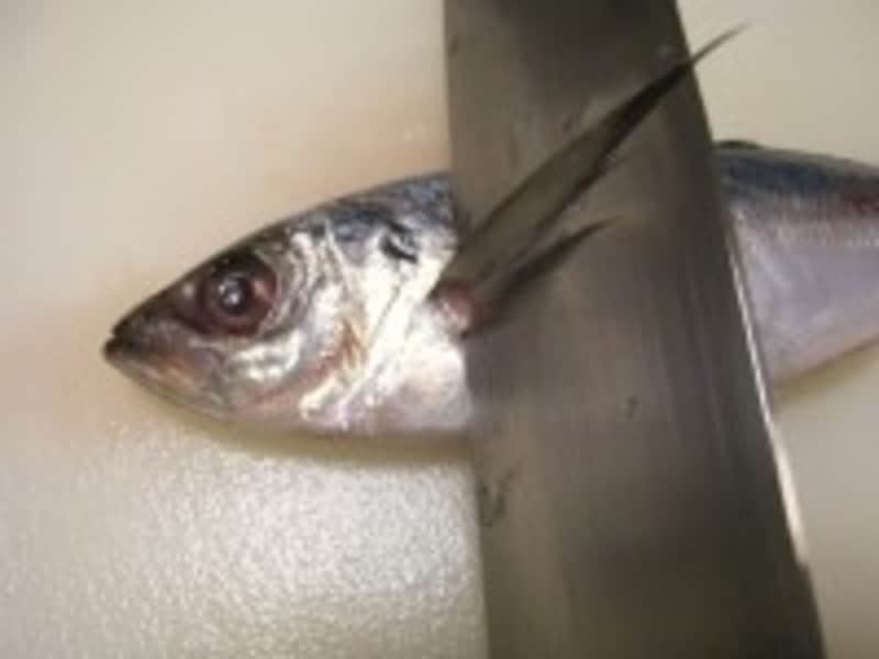 魚のさばき方