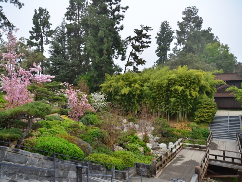 日本庭園には、茶室があり、桜も植えられている