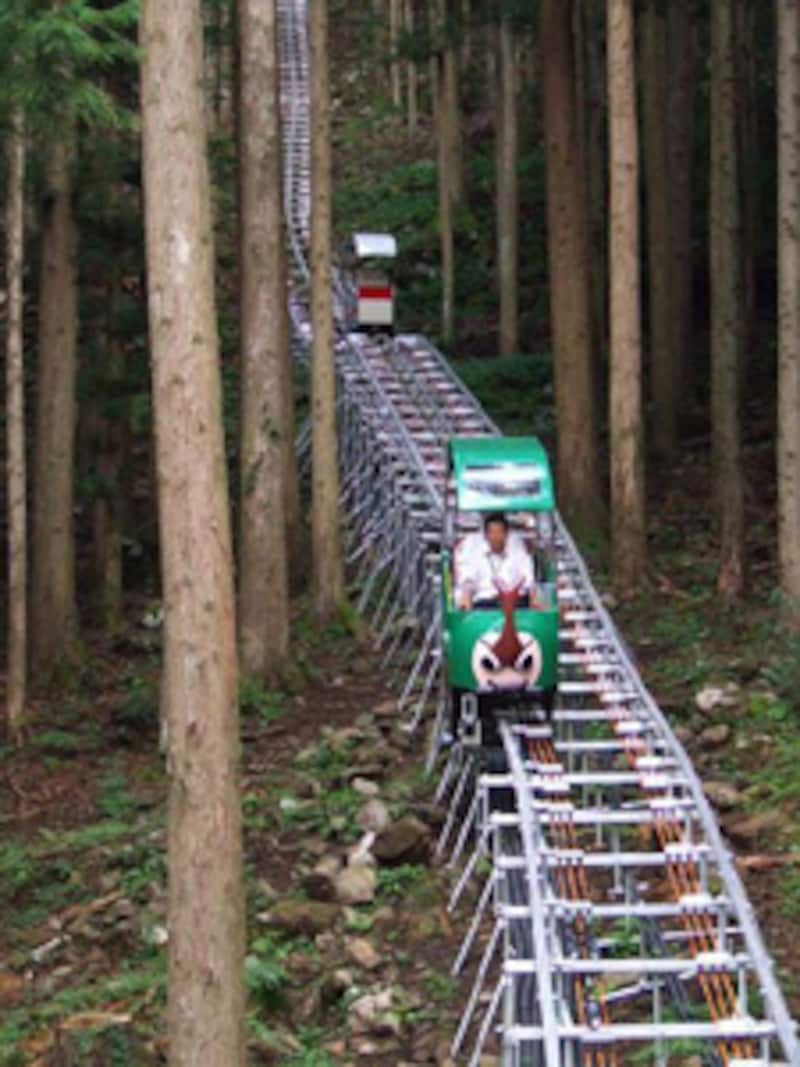 奥祖谷観光周遊モノレール