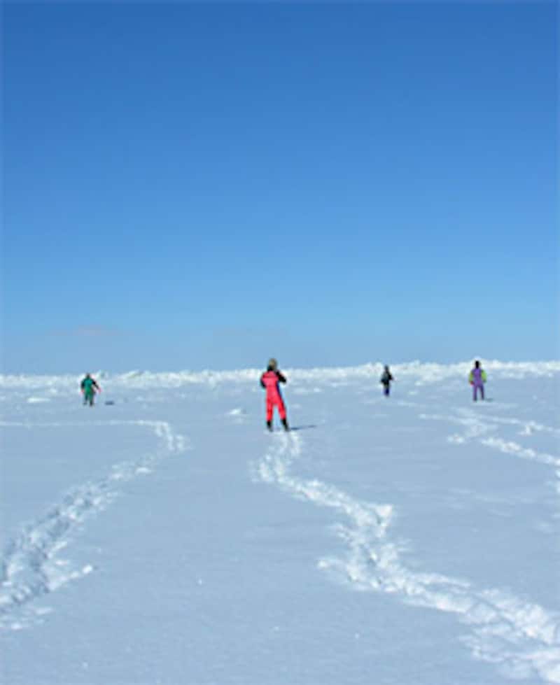 流氷ウォーク