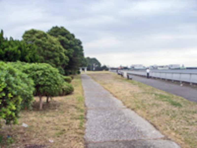 京浜島つばさ公園