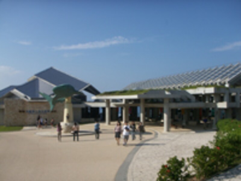 美ら海水族館