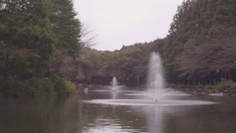 ▲画質より実用性を重視したい