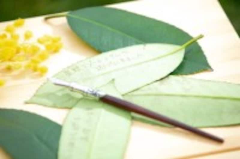 星野リゾート　トマム