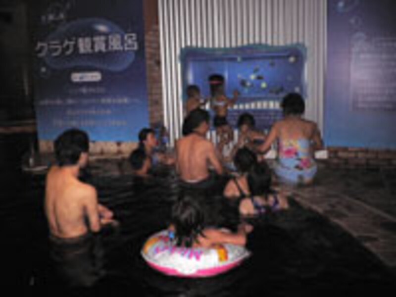 クラゲ鑑賞風呂