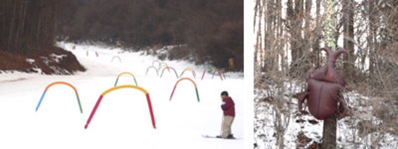 カブトムシコース（北パラダ）