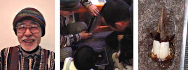 ファーブルおじさん