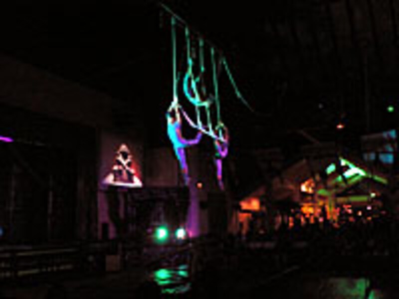 サーカスショー