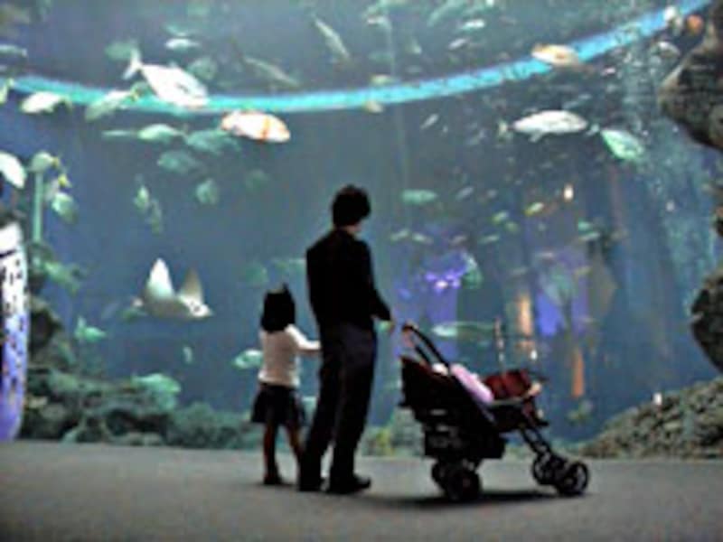水族館