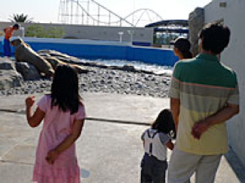 ウォーキングツアー(2)