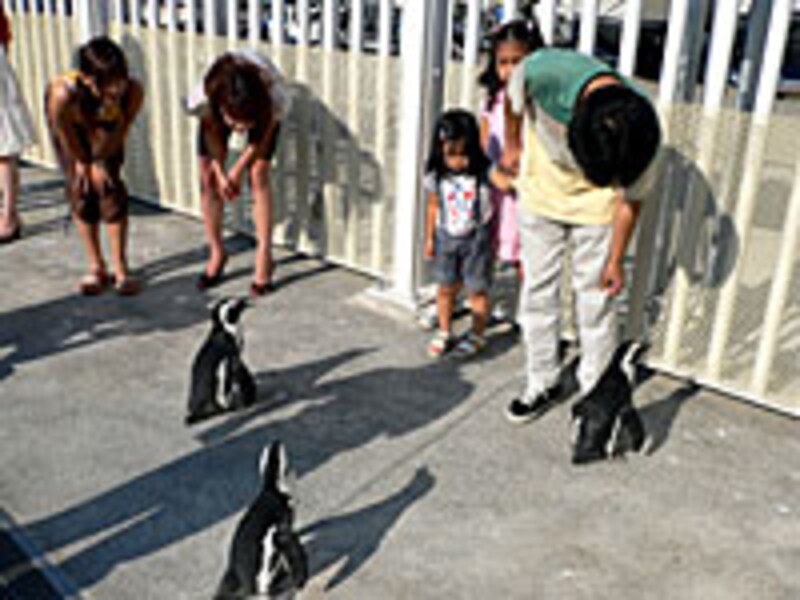 ウォーキングツアー(4)