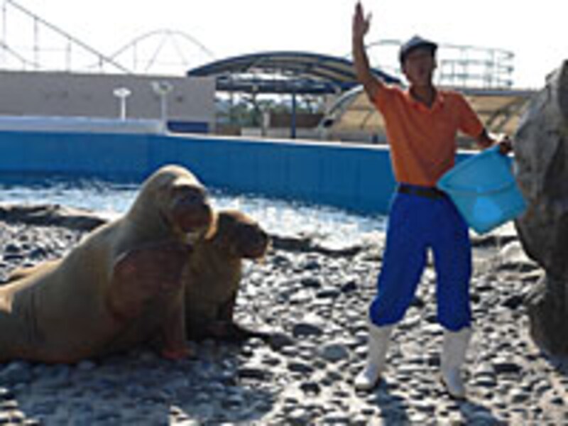 ウォーキングツアー(3)