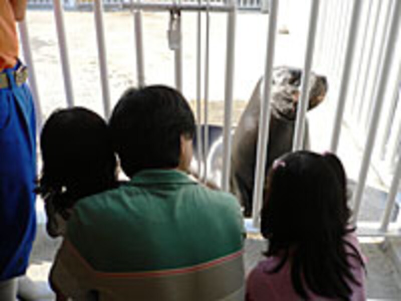 ウォーキングツアー(5)