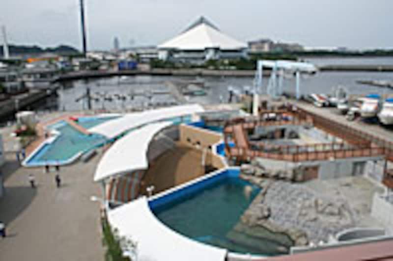 全景