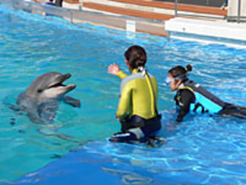 体験プログラム