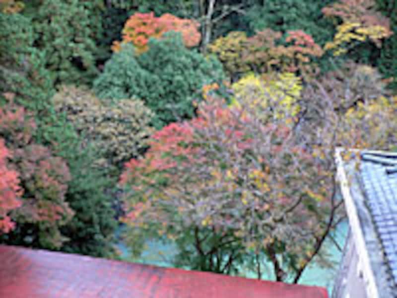 三河屋旅館（窓からの景色）