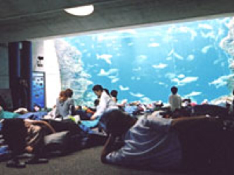 鴨川シーワールド