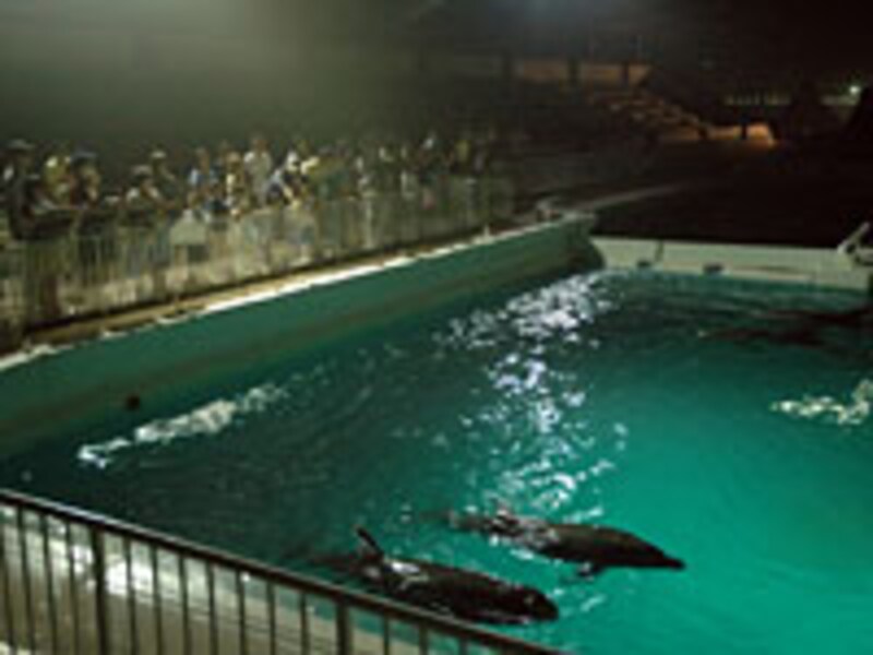 鴨川シーワールド