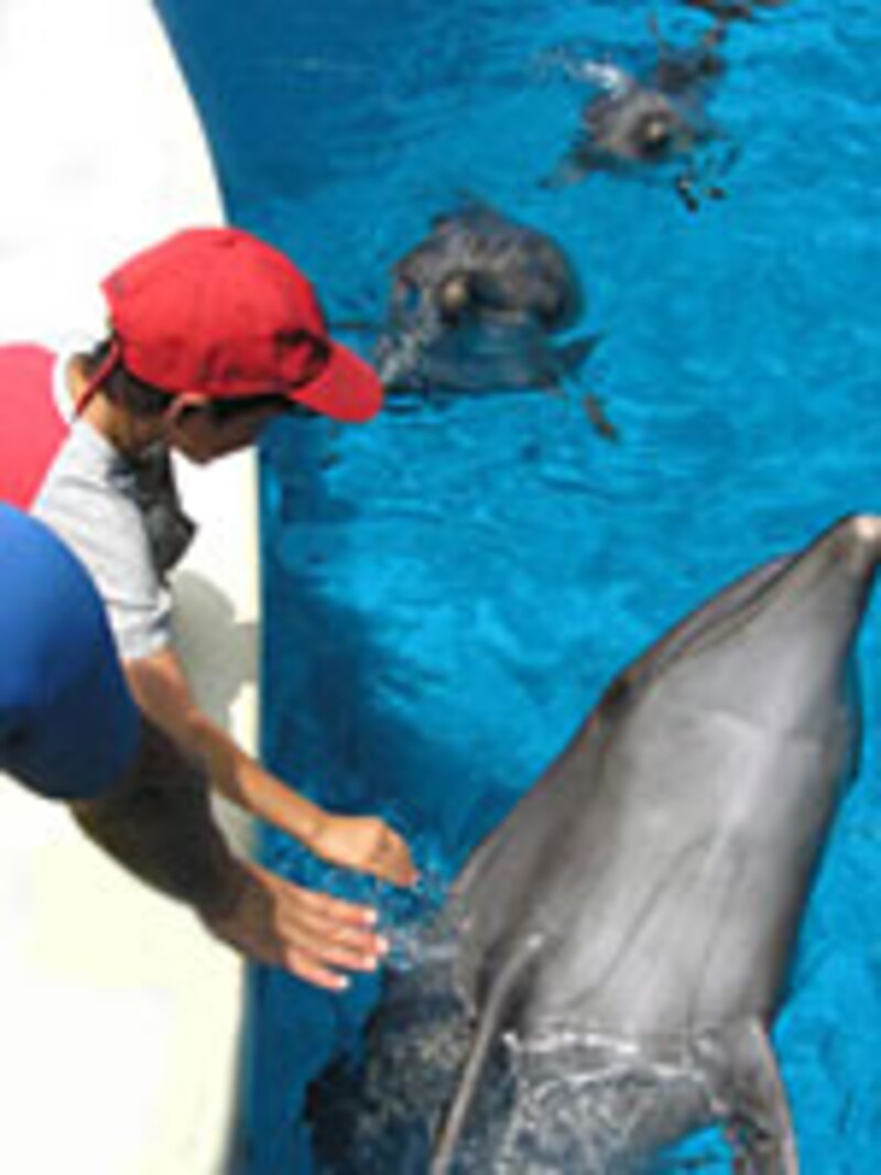新江ノ島水族館