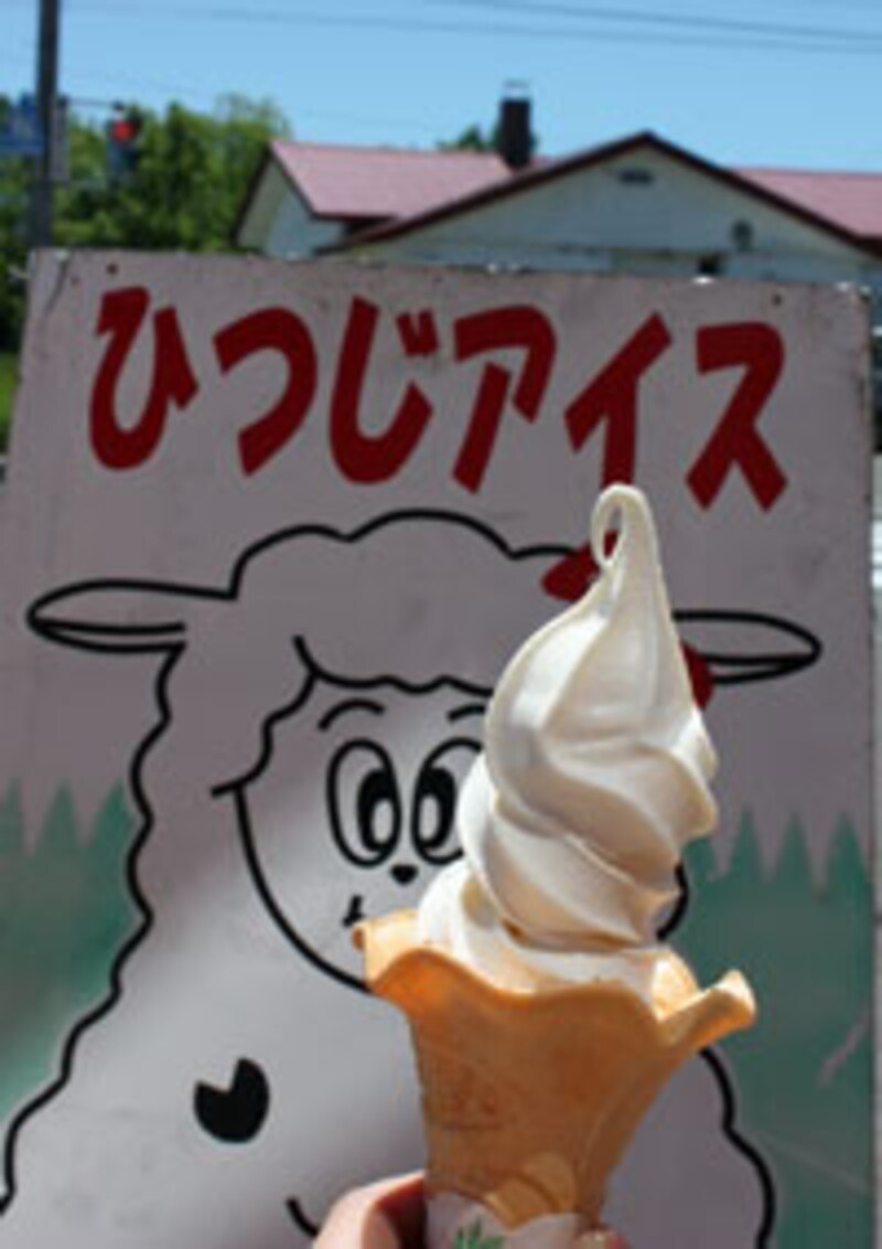 j41.jpg