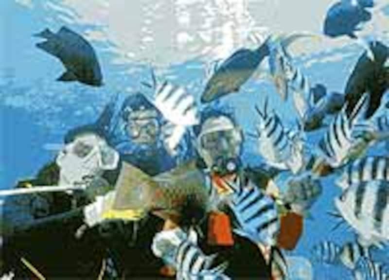 ダイビングを通して沖縄ファンになった人が非常に多い