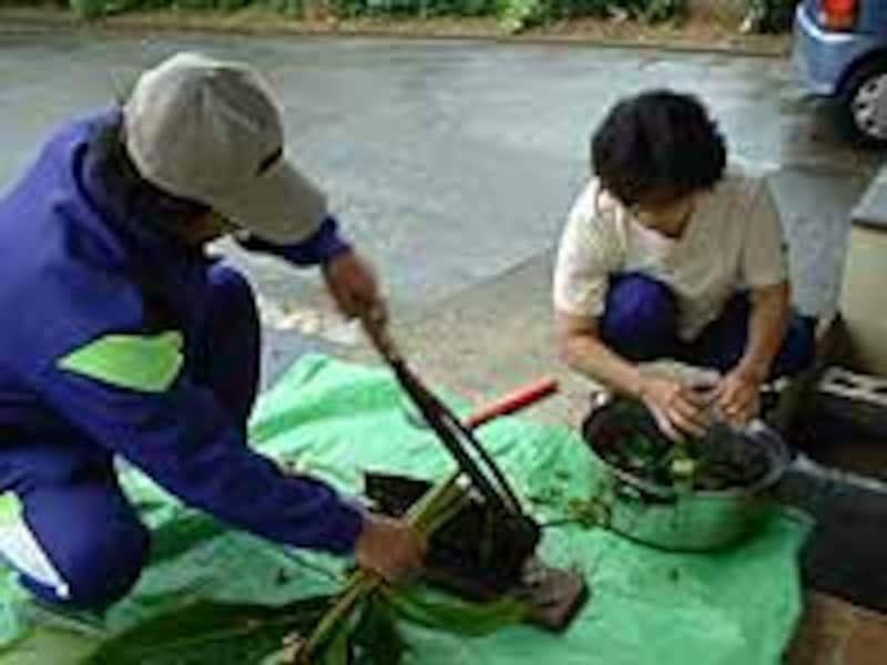 みんなで採取してきた薬草を使っています