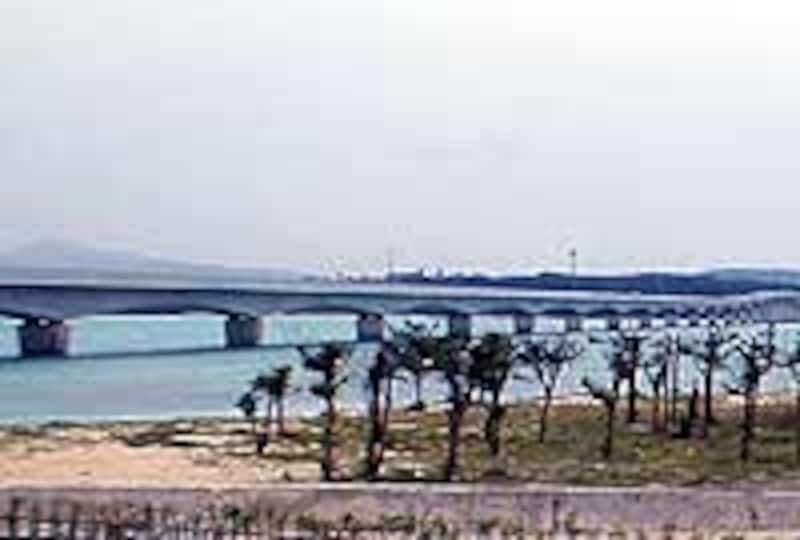 古宇利大橋の景観