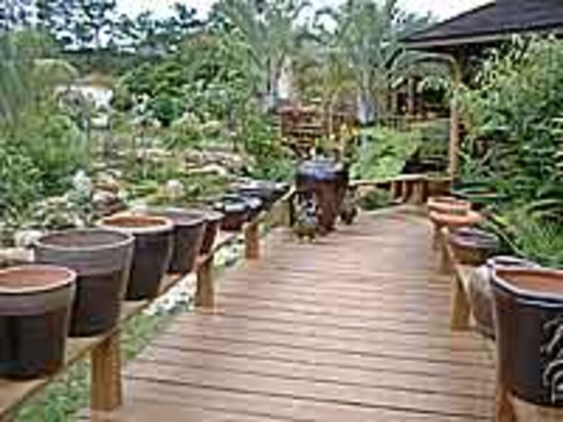 ガーデンカフェ南来流(なんくる)