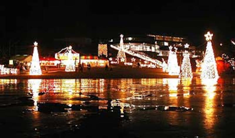 こどもの国のイルミネーション