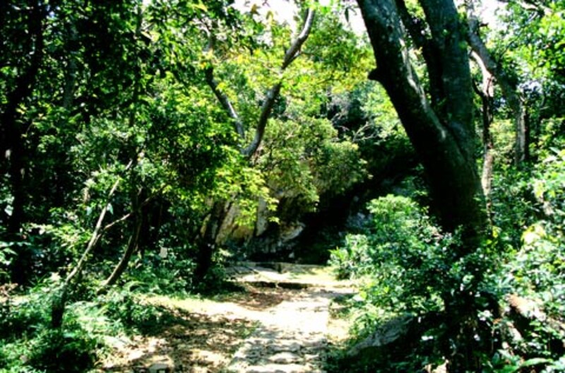 沖縄の人気観光スポット