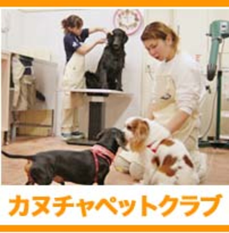 カヌチャリゾート