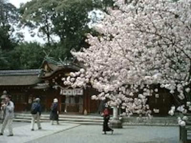 平野神社