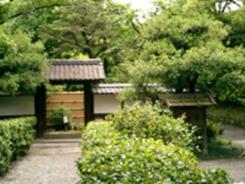 旧九条邸・拾翠亭