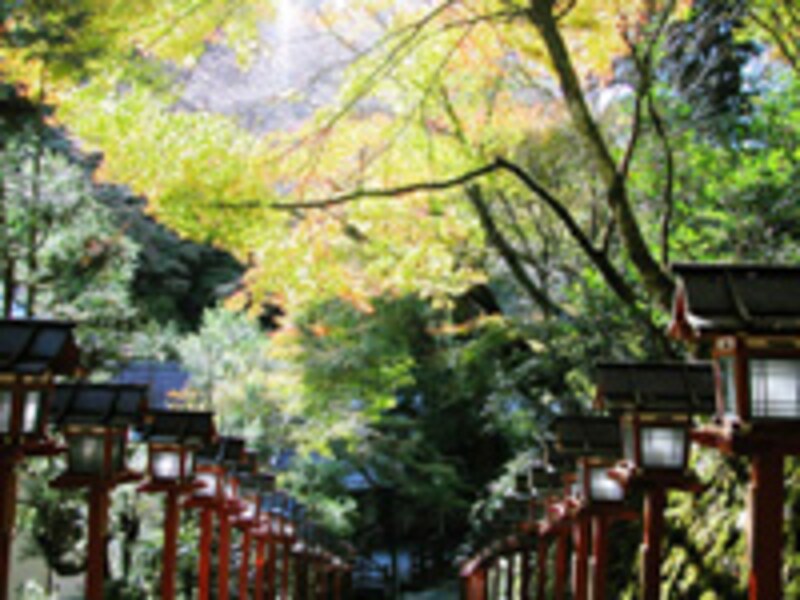 貴船・鞍馬の紅葉ハイキング2006