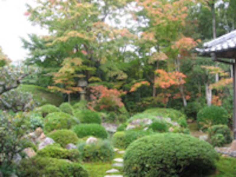 源光庵・悟りの寺