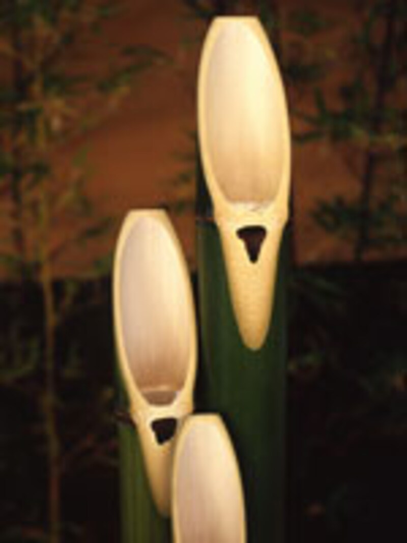 2006-2007行事・イベント情報