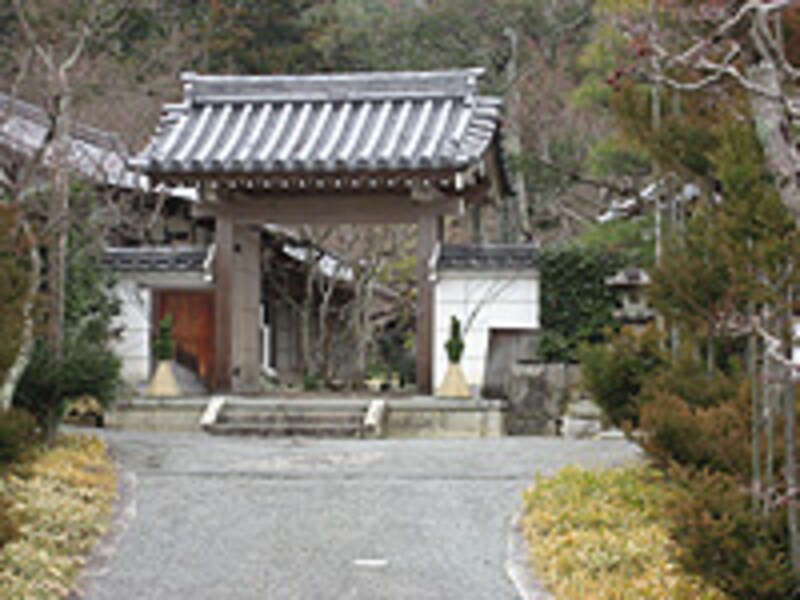 京のイノシシ神社やお寺が大集合！
