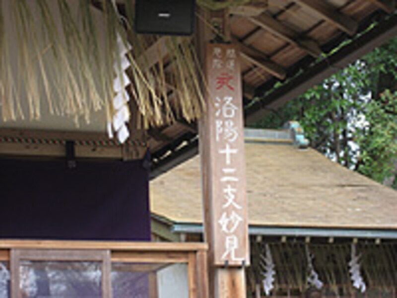 京のイノシシ神社やお寺が大集合！