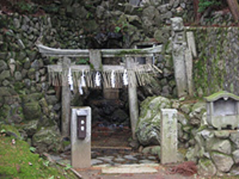 京のイノシシ神社やお寺が大集合！