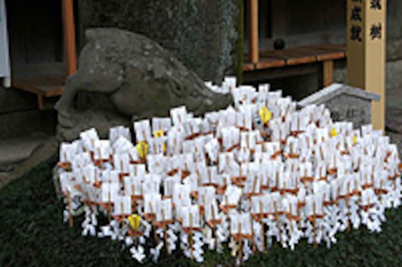 京のイノシシ神社やお寺が大集合！