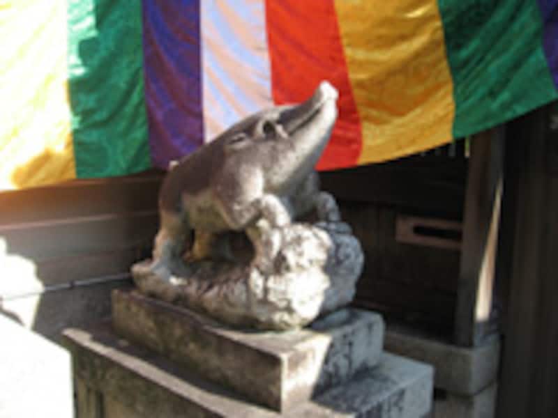 京のイノシシ神社やお寺が大集合！