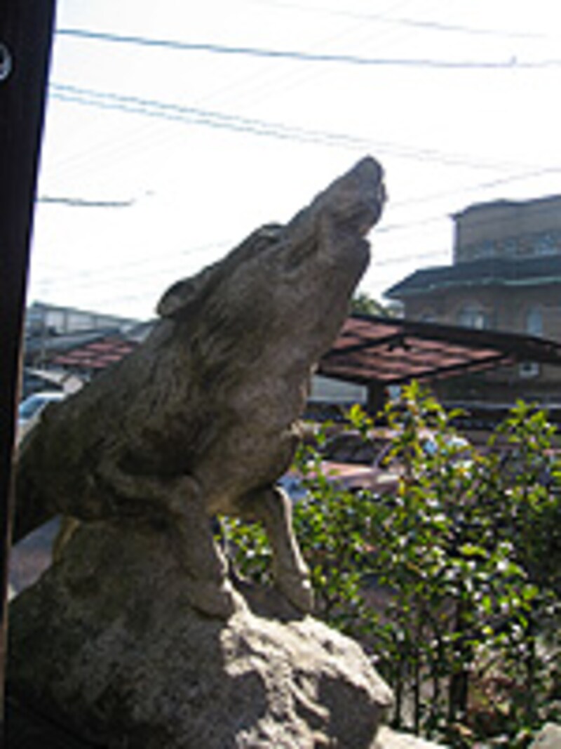 京のイノシシ神社やお寺が大集合！