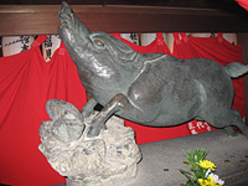 京のイノシシ神社やお寺が大集合！