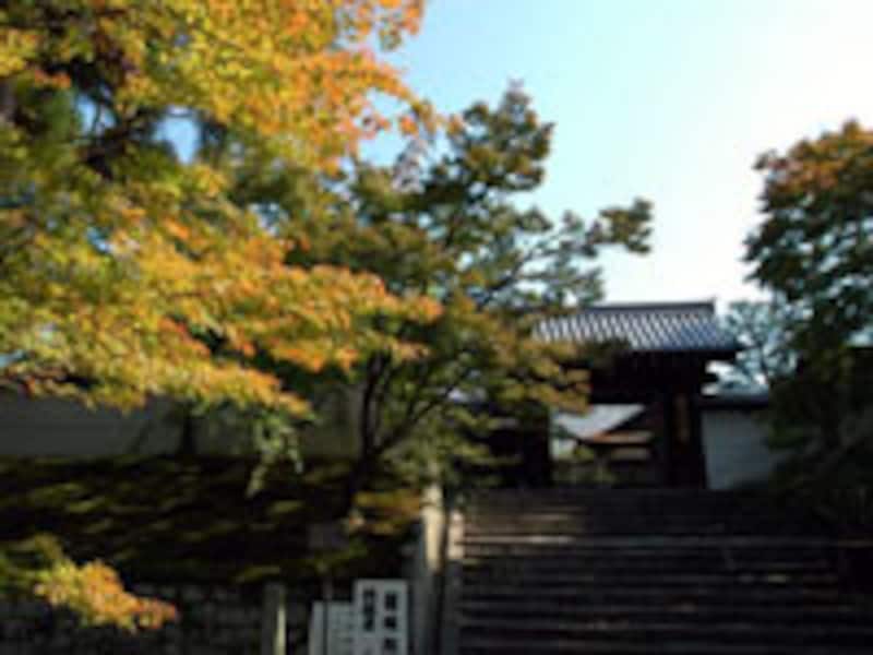 2006年京都の梅の名所