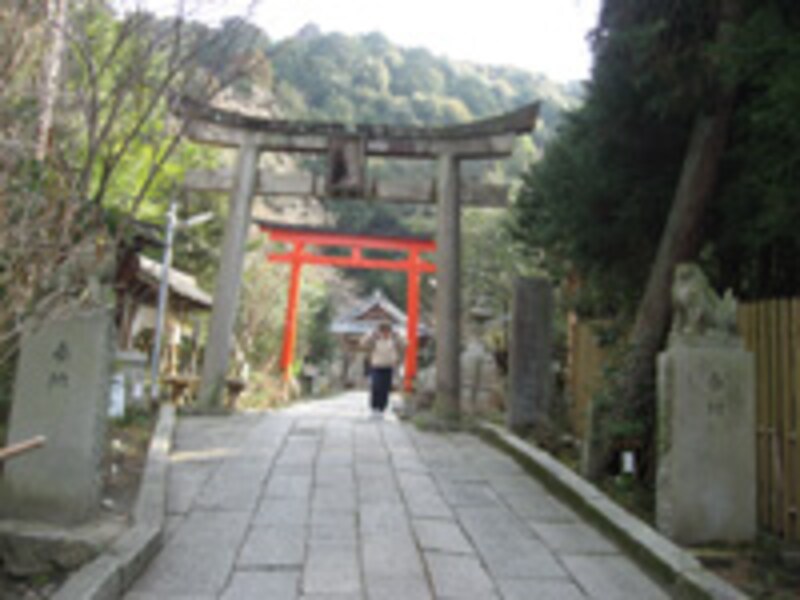 2006年京都の梅の名所
