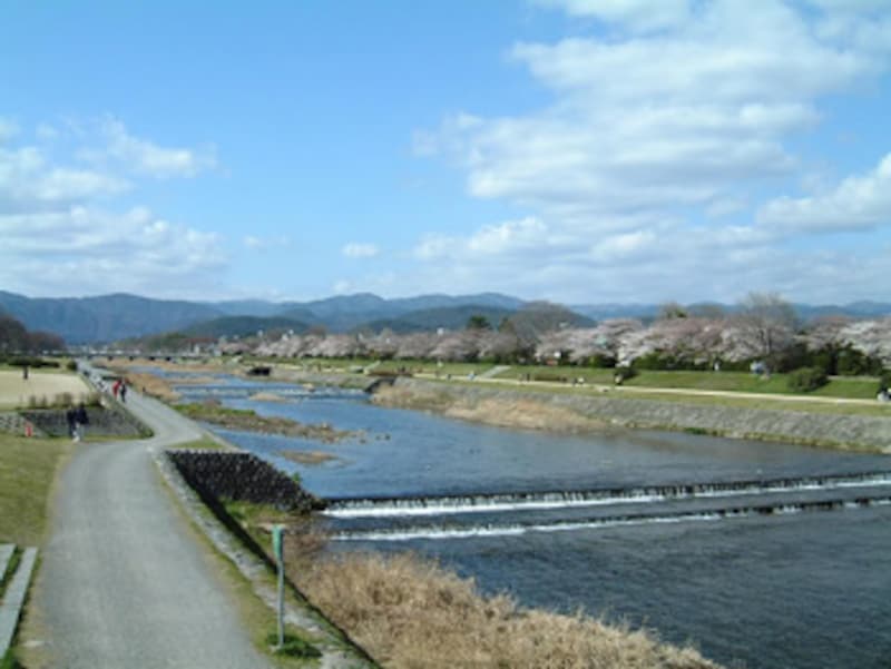 鴨川沿いをゆるりと散歩をしながら、カフェ